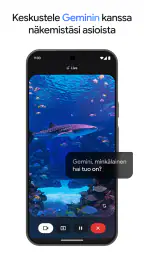 Google Gemini screenshot
