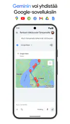 Google Gemini screenshot