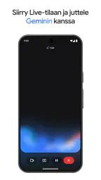 Google Gemini screenshot