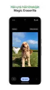 Google Kuvat screenshot