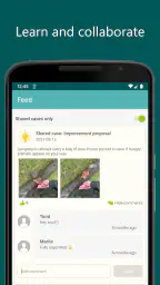 Gurufield screenshot