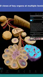 Human Anatomy Atlas 2026 screenshot