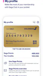 Icelandair screenshot
