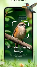 ID Bird: Bird Call Identifier screenshot