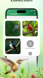 ID Bird: Bird Call Identifier screenshot