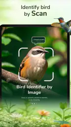 ID Bird: Bird Call Identifier screenshot