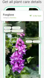 Kasvien hoito sovellus screenshot