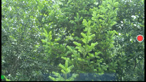 Larix Broadcaster: Live Stream screenshot