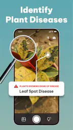 LeafCheck: Plant Identifier screenshot