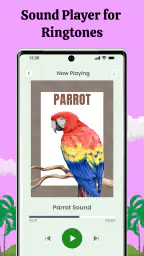Linnut Soittoäänet screenshot