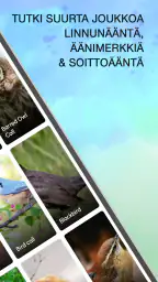 Lintujen äänet screenshot