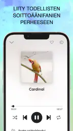 Lintujen äänet screenshot