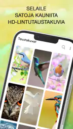 Lintujen äänet screenshot