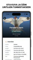 Lintujen Tunnistus - Birdby screenshot