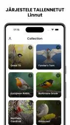 Lintujen Tunnistus - Birdby screenshot