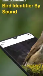 Lintujen Tunnistus Linnunlaulu screenshot