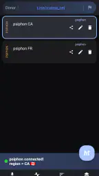 MahsaNG VPN screenshot
