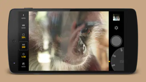 Manual Camera screenshot