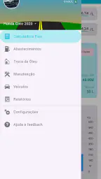 Meu Carro screenshot