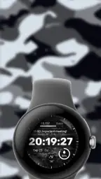 Military Watch Face - F01 screenshot