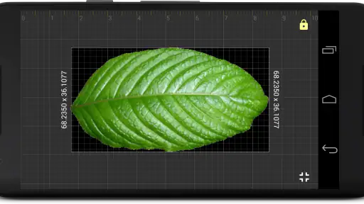 Millimeter Pro - screen ruler screenshot