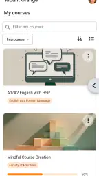 Moodle screenshot