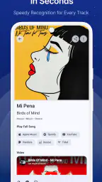 Musiikin tunnistus screenshot