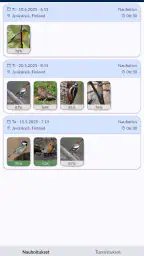Muuttolintujen kevät – RFJM screenshot