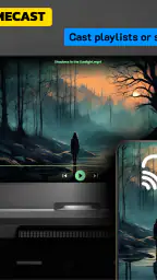 Night Video Player - voice amp screenshot