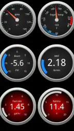 OBDLink (OBD car diagnostics) screenshot