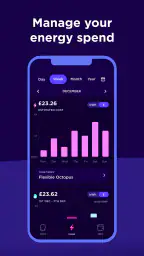 Octopus Energy screenshot