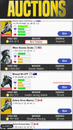 Off And Pacing: Horse Racing screenshot