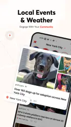Opera News: breaking & local screenshot