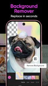 Picsart AI Photo Editor, Video screenshot