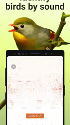 Picture Bird - Bird Identifier screenshot