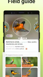 Picture Bird - Bird Identifier screenshot