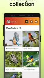 Picture Bird - Bird Identifier screenshot