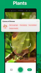 PictureThis - Plant Identifier screenshot