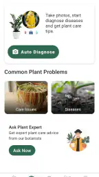Plant identifier and care screenshot