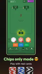Poker 4 Friends: Chips of Fury screenshot