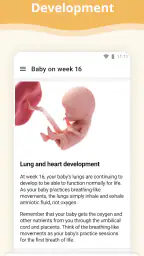 Pregnancy App screenshot