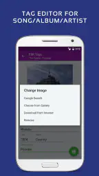 Pulsar Music Player Pro screenshot
