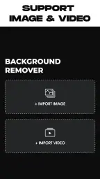 Remove Background From Video screenshot
