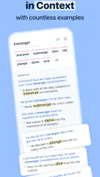 Reverso Translate and Learn screenshot