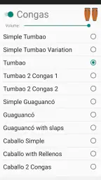 Salsa Rhythm screenshot