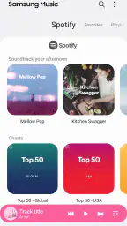 Samsung Music screenshot