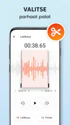 Sanelin Plus - Ääninauhuri screenshot