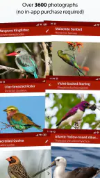 Sasol eBirds Southern Africa screenshot