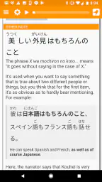 Satori Reader screenshot