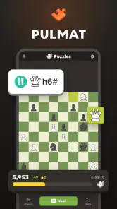 Shakki · pelaa ja opi verkossa screenshot